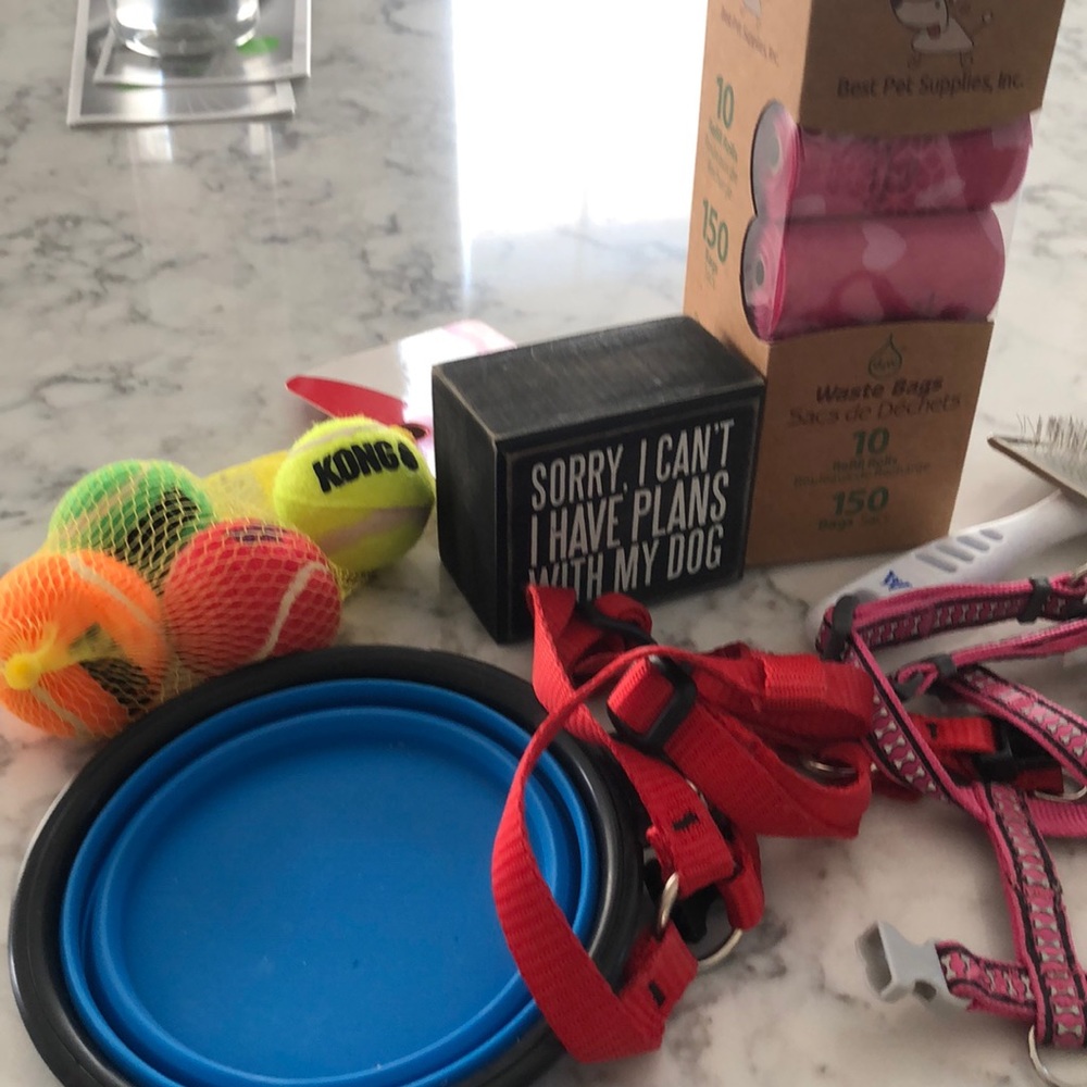 Dog Supplies - small breed